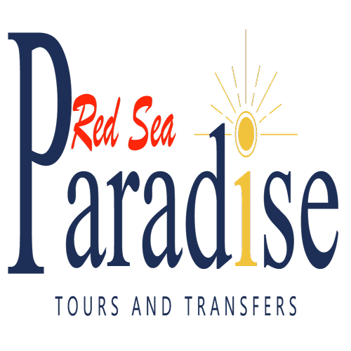 TOURS AND TRANSFERS