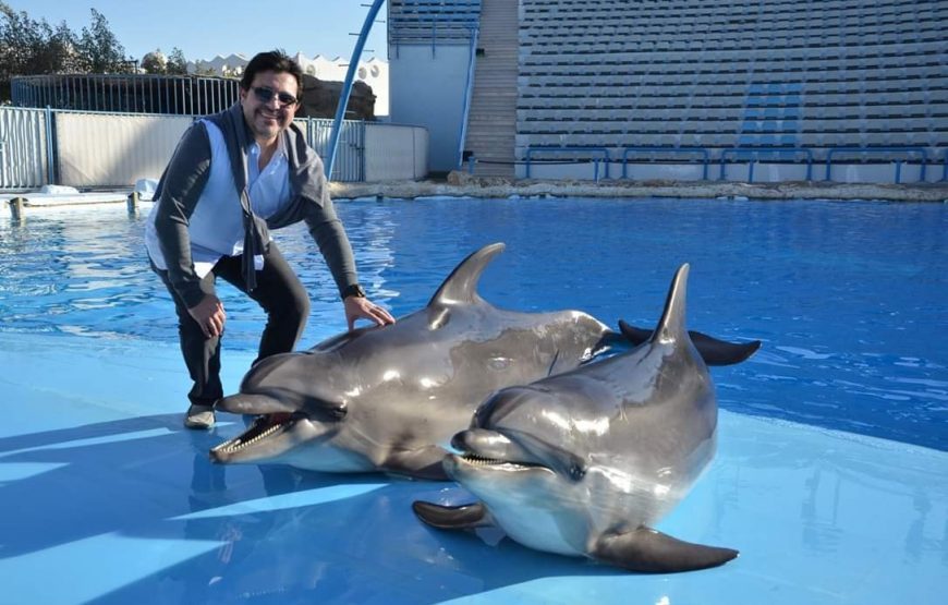 رحلة الدولفين شو