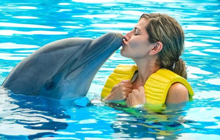 رحلة الدولفين شو