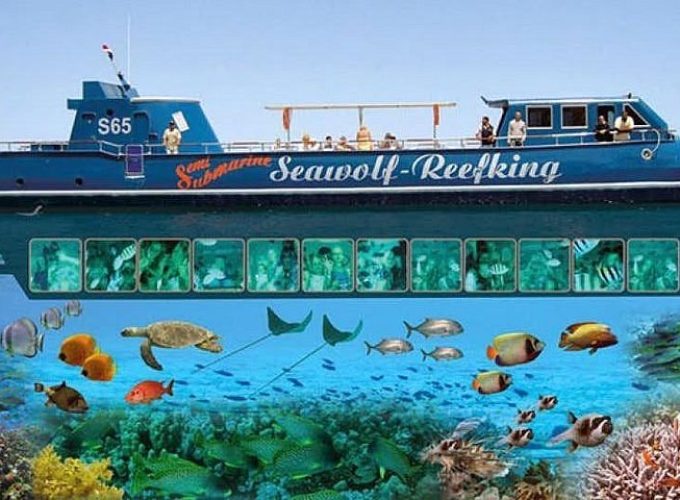 رحلة غواصة بانوراما سى وولف خليج مكادى panorama-makadi-submarine