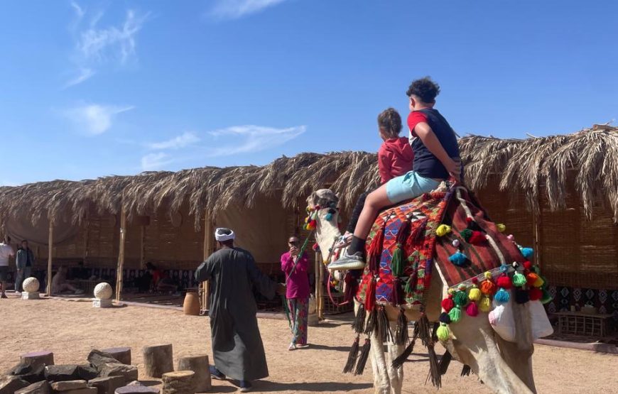 Makadi Bay: BADU Luxury Bedouin Dinner Experience & Stargaze