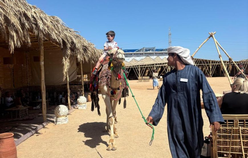 Makadi Bay: BADU Luxury Bedouin Dinner Experience & Stargaze