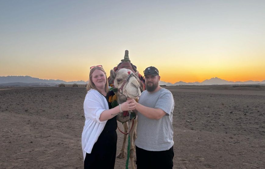 Makadi Bay: BADU Luxury Bedouin Dinner Experience & Stargaze