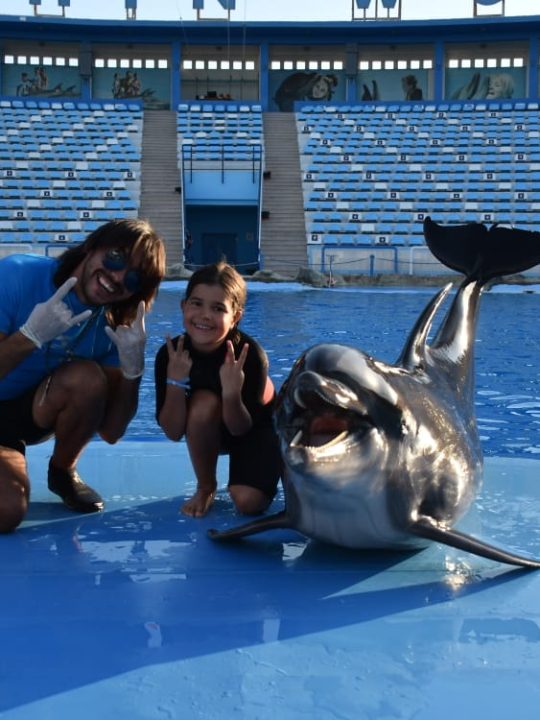 Dolphin World Makadi