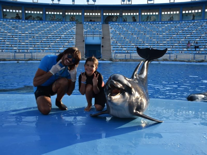 Dolphin World Makadi